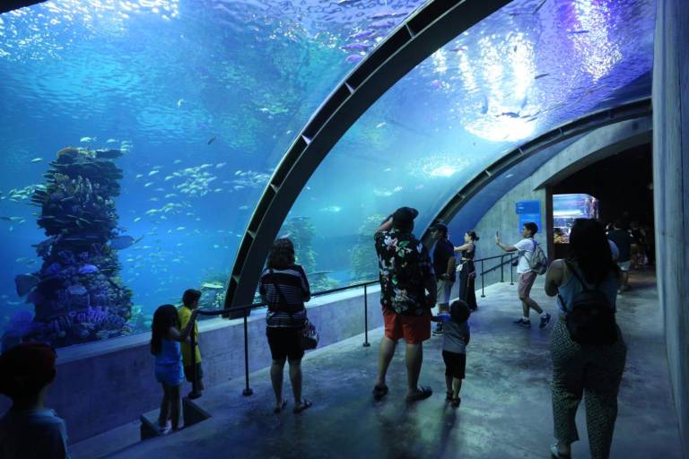 Abre sus puertas el nuevo Gran Acuario Mazatlán Mar de Cortés