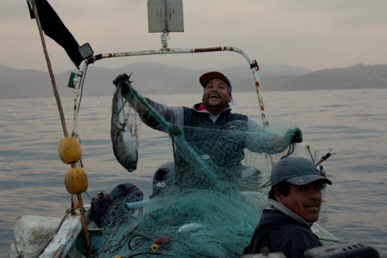 $!Pescadores artesanales pescando merluza.