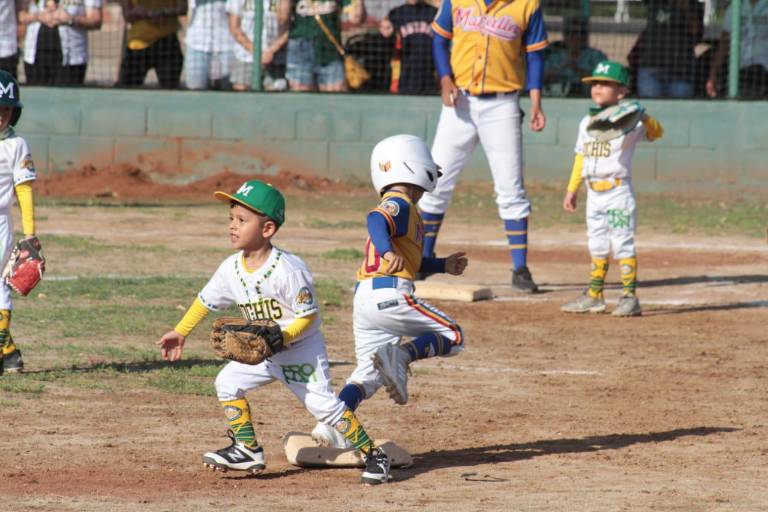 Arranca este sábado el Torneo Nacional de categoría Pañalitos en Mazatlán