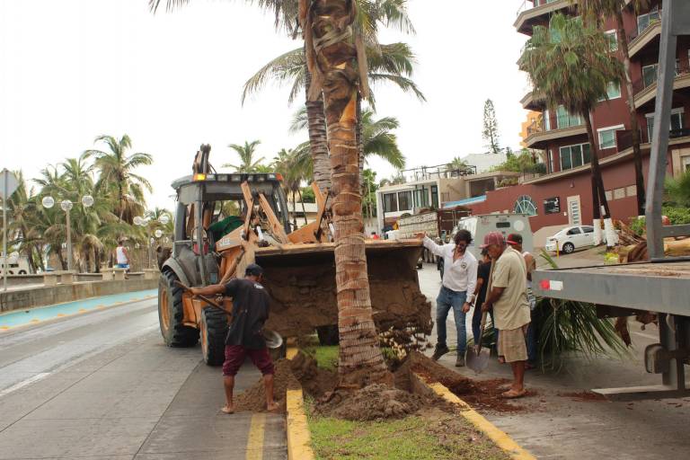 RedPetroil contribuye al embellecimiento de Mazatlán