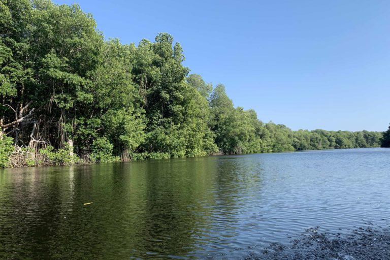 $!México: ¿áreas marinas protegidas sólo en el papel?