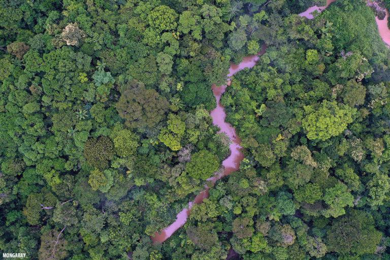 $!La Amazonía, uno de los ecosistemas amenazados por el cambio climático.