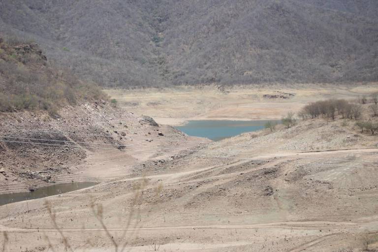 Bacurato, el pueblo que no se dobla ante la sequía