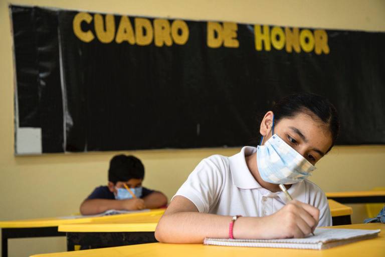 Mejorar infraestructura escolar y modelo híbrido sustentable, necesario para el regreso a clases, expone Mexicanos Primero