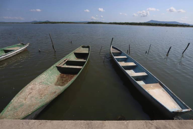 Se requieren trabajos de desazolve en sistema lagunario Huizache-Caimanero ante bajas capturas: Domínguez Nava