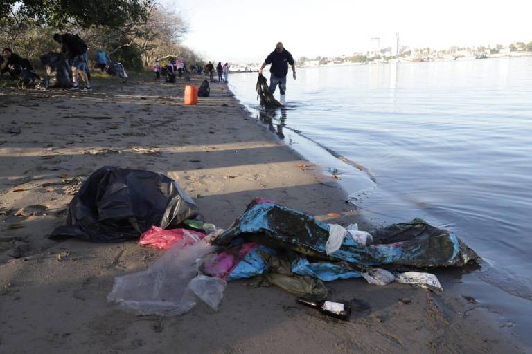 ‘Están completamente contaminados los humedales de Mazatlán’, señala ambientalista Sofía Trejo