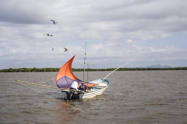 Daños en humedales provocan efectos negativos en la pesca y economía de la bahía de Santa María, señala Sucede
