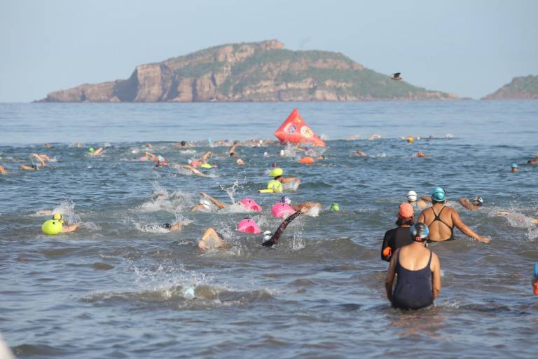 Comité de Natación espera cerrar el año con grandes eventos