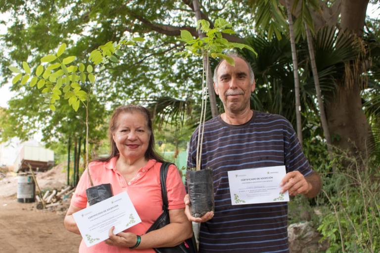 Por la reforestación sinaloense