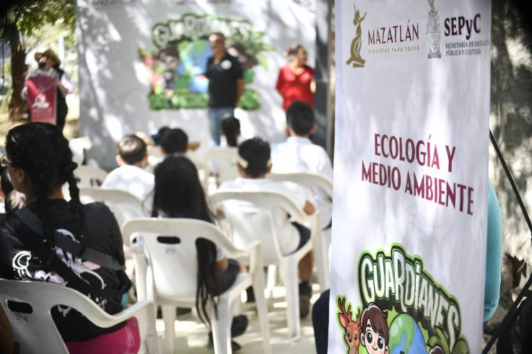 Desde enero, Ecología Municipal ha atendido 185 casos de panales de abejas en Mazatlán