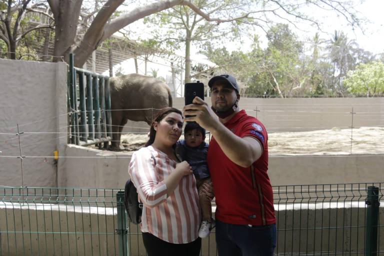 Público del Zoológico de Culiacán hace fila para ver a ‘Big Boy’