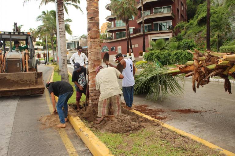 RedPetroil contribuye al embellecimiento de Mazatlán