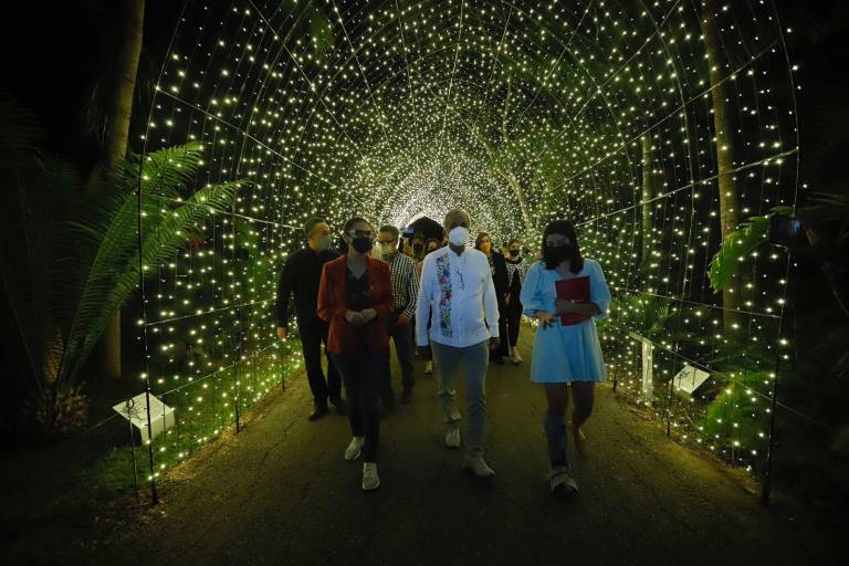 Viven una iluminada ‘Navidad en el Jardín’