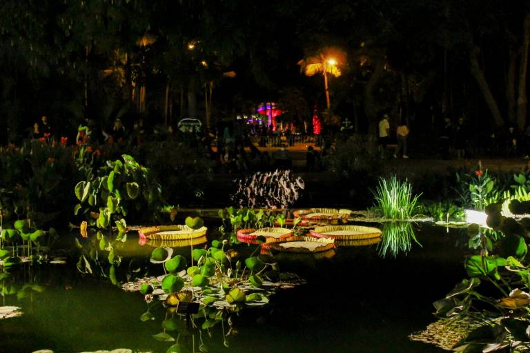 Agradezca lo que pasó en 2022 para que dé lugar a lo que desea este 2023