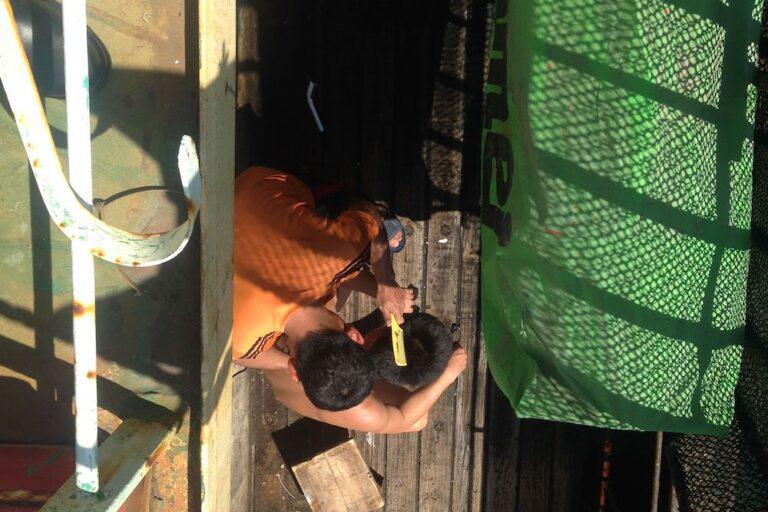 $!Flota china esquiva monitoreo satelital por parte de las autoridades peruanas