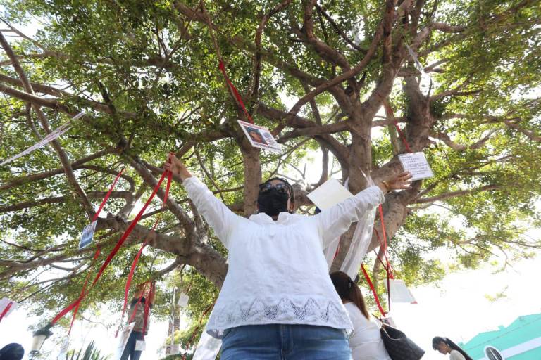 La plazuela Zaragoza, en Mazatlán, tiene árbol declarado como santuario de los desaparecidos