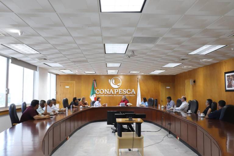 Piden acuacultores apoyo a Conapesca para frenar contrabando de camarón