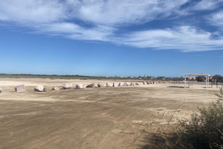 México: las mujeres que protegen al amenazado callo de hacha