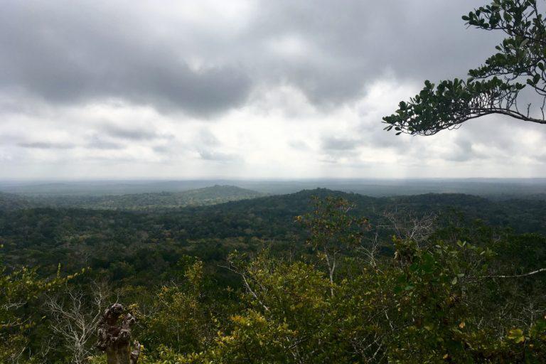 $!Vista de una de las áreas de la Selva Maya, en la zona de Quintana Roo.