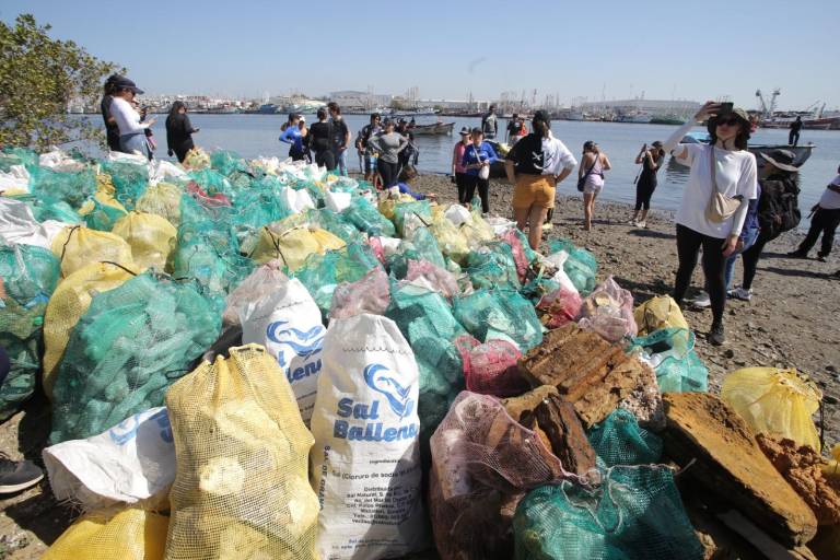 Limpian isla cubierta de basura en el canal de navegación, en Mazatlán