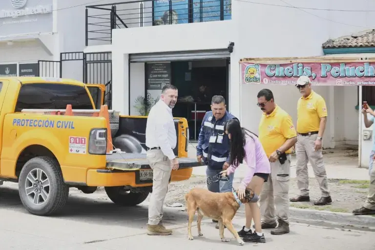 $!Exhorta Ecología a denunciar cualquier caso de maltrato animal al 911 tras el incidente con ‘Osito’