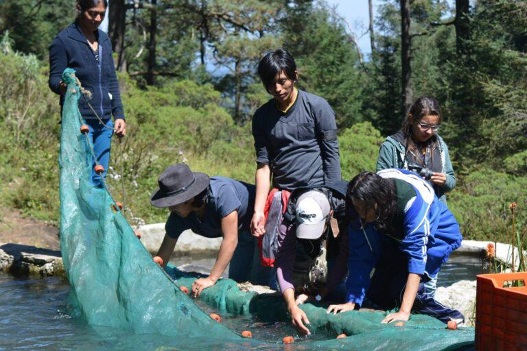 $!El investigador que usa la ciencia para defender al Bosque de Agua en México