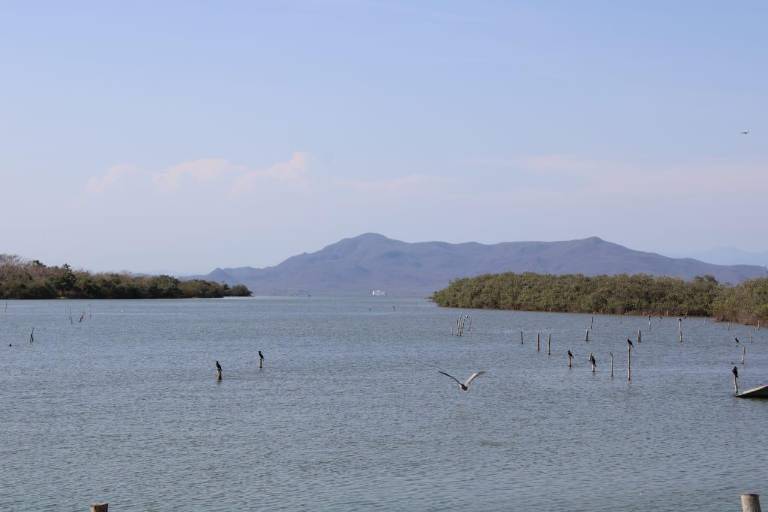 En El Caimanero, Rosario, pescadores acuerdan no ingresar al no haber camarón de acuerdo a muestreos