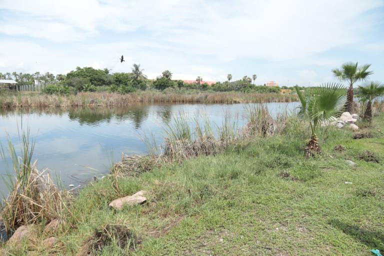 Abandono de la Laguna del Camarón pone en riesgo a especies: Guillermo Zerecero