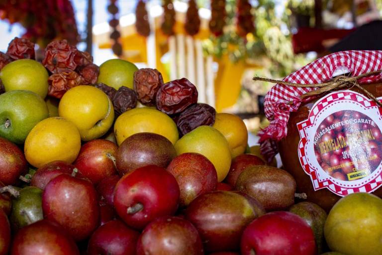 Agua Caliente de Gárate: entre el Gitano y sus ciruelas