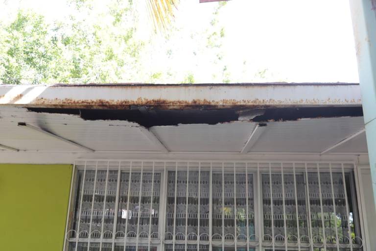 Enjambre de abejas obliga a suspender actividades en jardín de niños de Lomas de Mazatlán