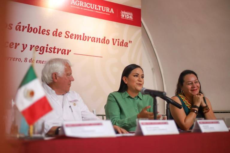 Continuará el registro de árboles y especies del programa ‘Sembrando Vida’