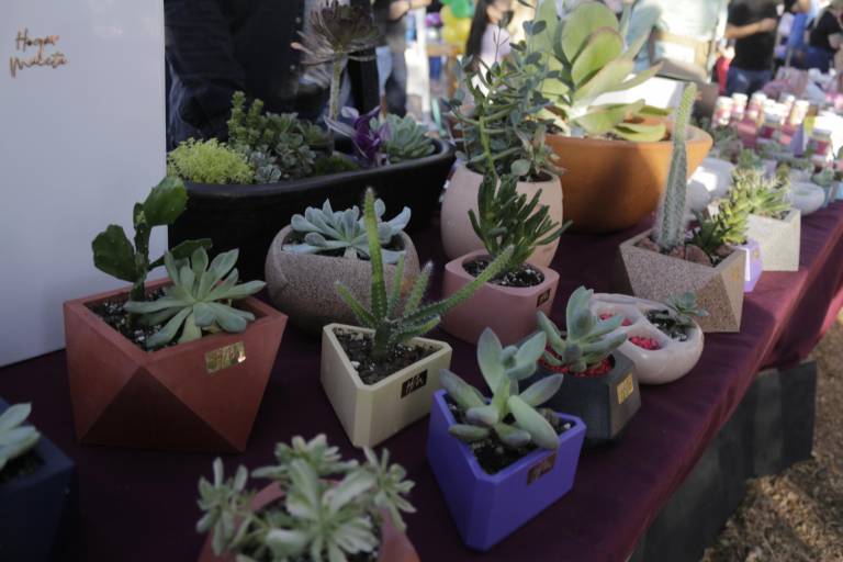 Invitan a consumir lo local