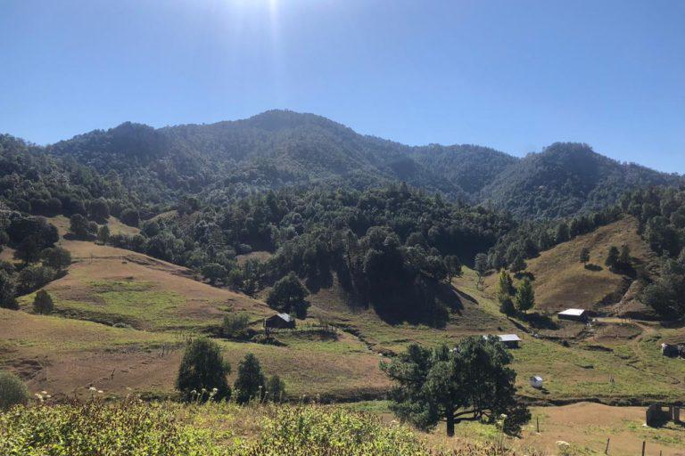 $!El reto de dar vida al Acuerdo de Escazú en México, un país donde se asesina a los defensores ambientales