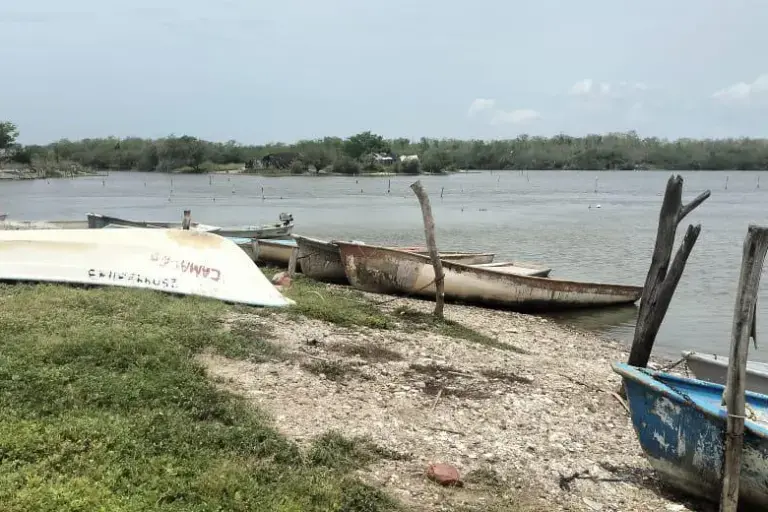 $!Inician obras en el río Baluarte para repoblar el sistema Huizache-Caimanero