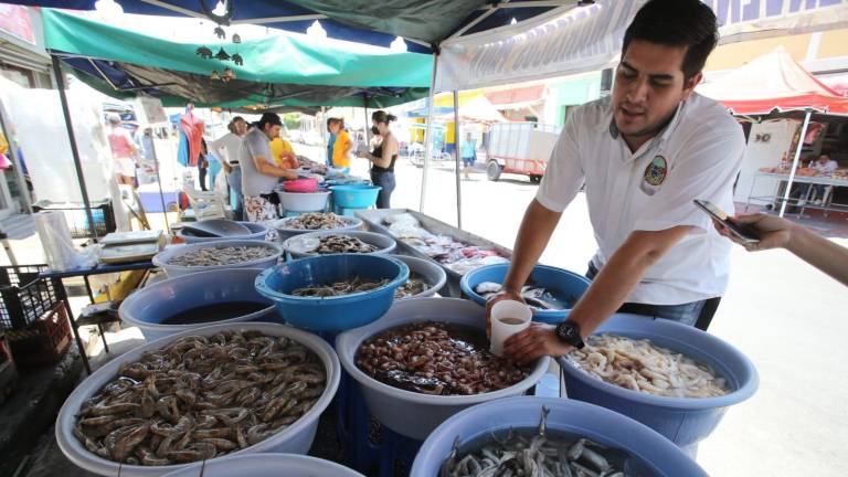 El camarón que venden las changueras.