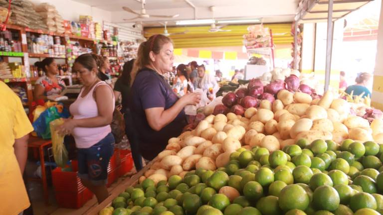 Aumenta el precio del limón hasta a $60 por kilo en Mazatlán