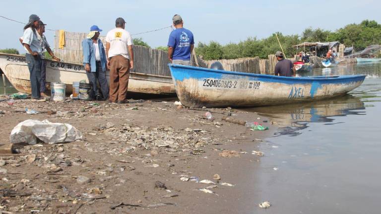 Secretaría de Agricultura y Desarrollo Rural informó sobre el inicio de capturas de camarón de manera escalonada en los sistemas lagunares, estuarinos, marismas y bahías de Baja California Sur, el sur de Sinaloa y Nayarit.