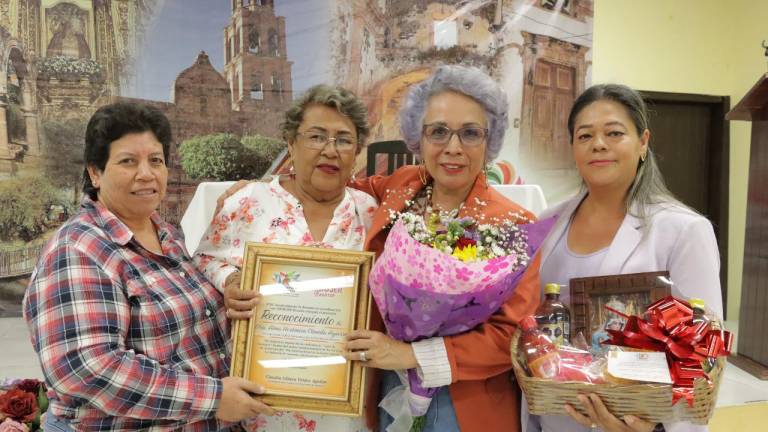 Alma Hortencia Olmeda Aguirre, maestra y actual presidenta de la Red Nacional para la Paridad de Género fue la encargada de exponer este caso.