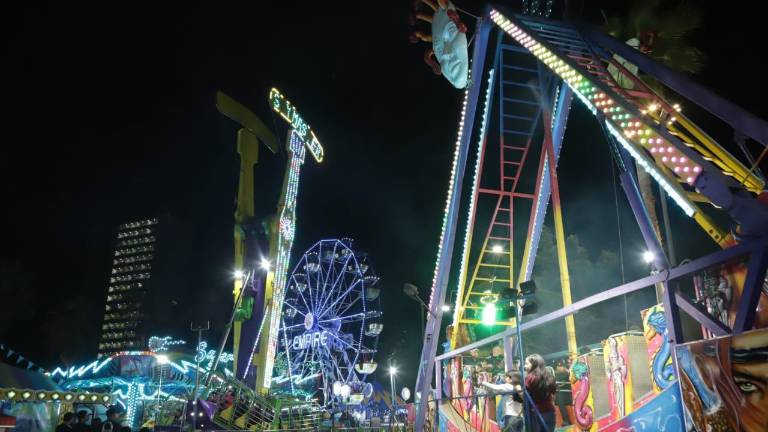 Desde niños hasta personas de la tercera edad acuden a este lugar a disfrutar de las luces navideñas, alimentos, la pista de hielo o los juegos mecánicos.