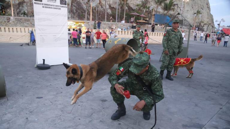 En el Módulo de Adiestramiento Canino se dio a conocer que son tres razas de perros las que se utilizan para esas labores.