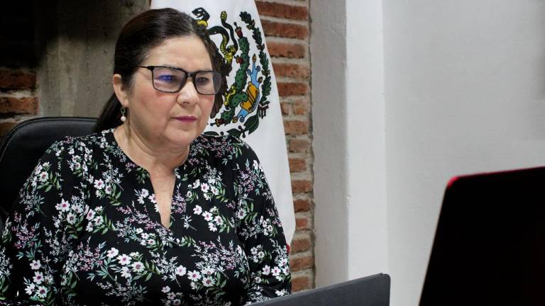 Imelda Castro Castro en reunión virtual del Senado de la República