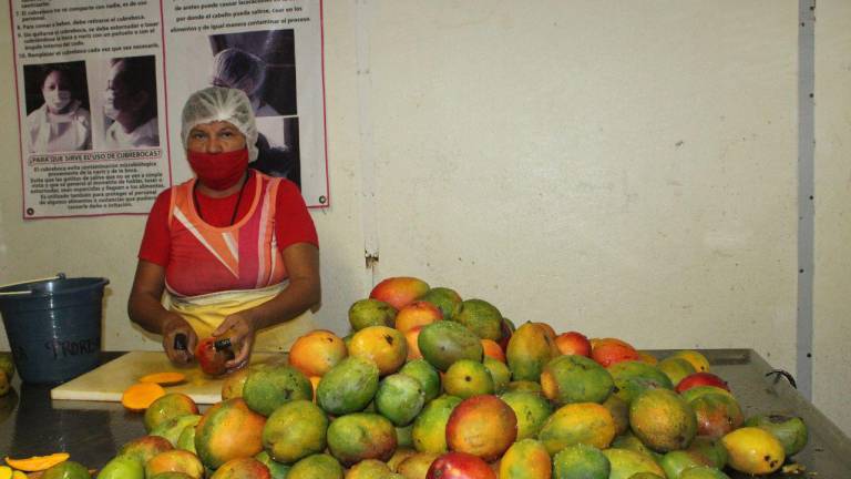 Rufino Prado dijo que el tema del precio del mango siempre ha sido una situación difícil para los productores del sur de Sinaloa.