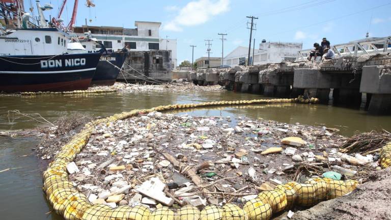 Biobarda del Puente Juárez impide que 3 toneladas de basura lleguen al mar