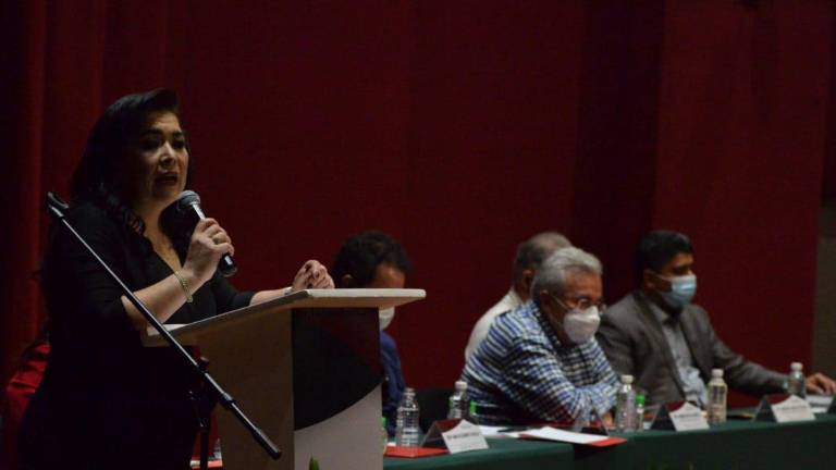 La Diputada federal Ana Elizabeth Ayala Leyva.