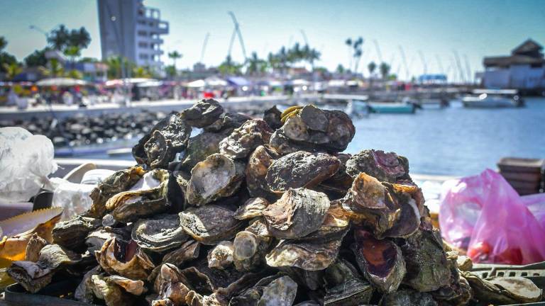 Mientras algunos comerciantes duplican sus ventas en Altata, otros perciben un flujo de turistas que no siempre se traduce en consumo.
