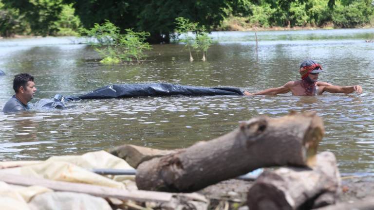 A tres semanas del paso del Huracán Nora, la comunidad El Pozole, sindicatura Villa Unión, vive sumergida entre el agua