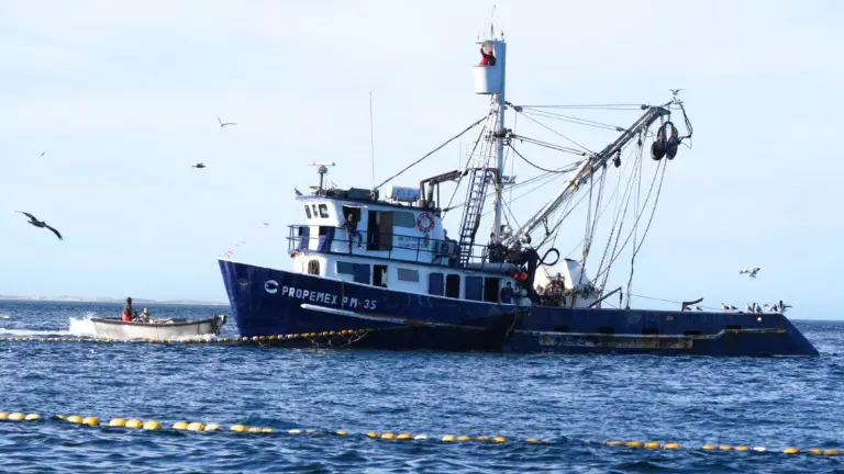 A pesar de ser una zona rica en biodiversidad marina, los recursos naturales en Bahía Magdalena, en Baja California Sur, son amenazados por la pesca industrial.