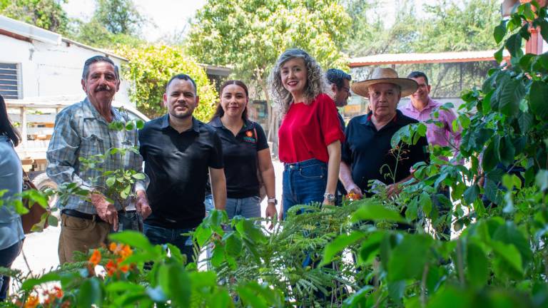 El Gobierno de Culiacán entrega árboles de diferentes especies que contribuyen a la preservación de las abejas.