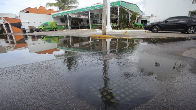 Vecinos de la zona denuncian el derramamiento de aguas negras que afecta a la Avenida Carlos Canseco.