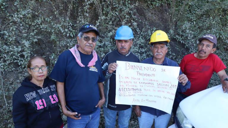 Piden que se les considere en la repartición de 54 millones de dólares que en 2005 se le entregaron al dirigente minero Napoleón Gómez Urrutia.